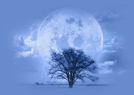 11.2OPEC冻产协议否极泰来,今晚EIA如何直逼