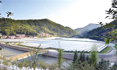 建瓯有多少人口_建瓯光饼