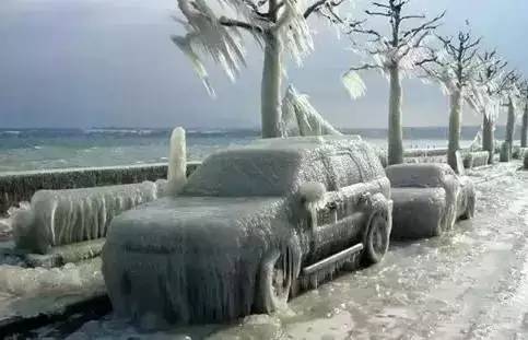 天冷了,你开车前拍过引擎盖吗?