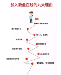 全面解析:最近非常流行的宁贵微盘,是什么?|交