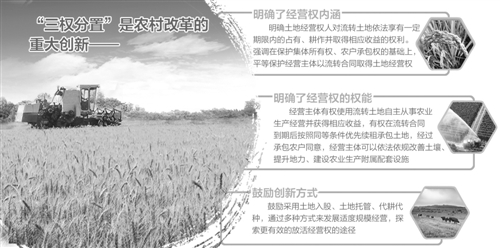 深化农村改革的重大制度创新