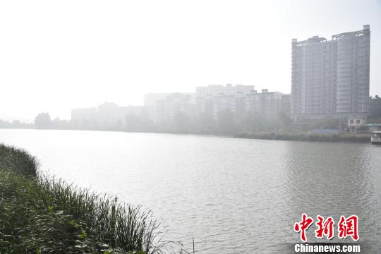 武汉水果湖边，建筑物笼罩在大雾中 马芙蓉 摄