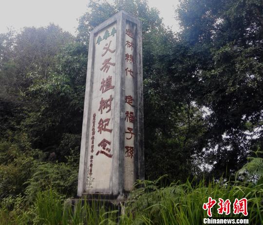 一场洪灾泥石流后立起的“义务植树纪念碑”(图)