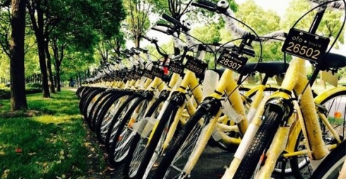 ofo疯狂布车魔都 或成为下一个滴滴|单车|疯狂