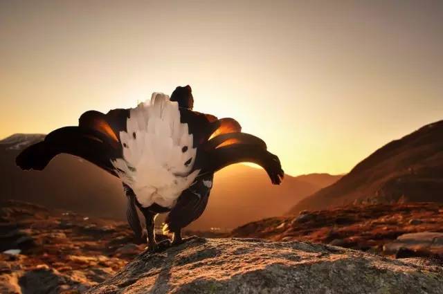 确定你在，我才能安然入睡