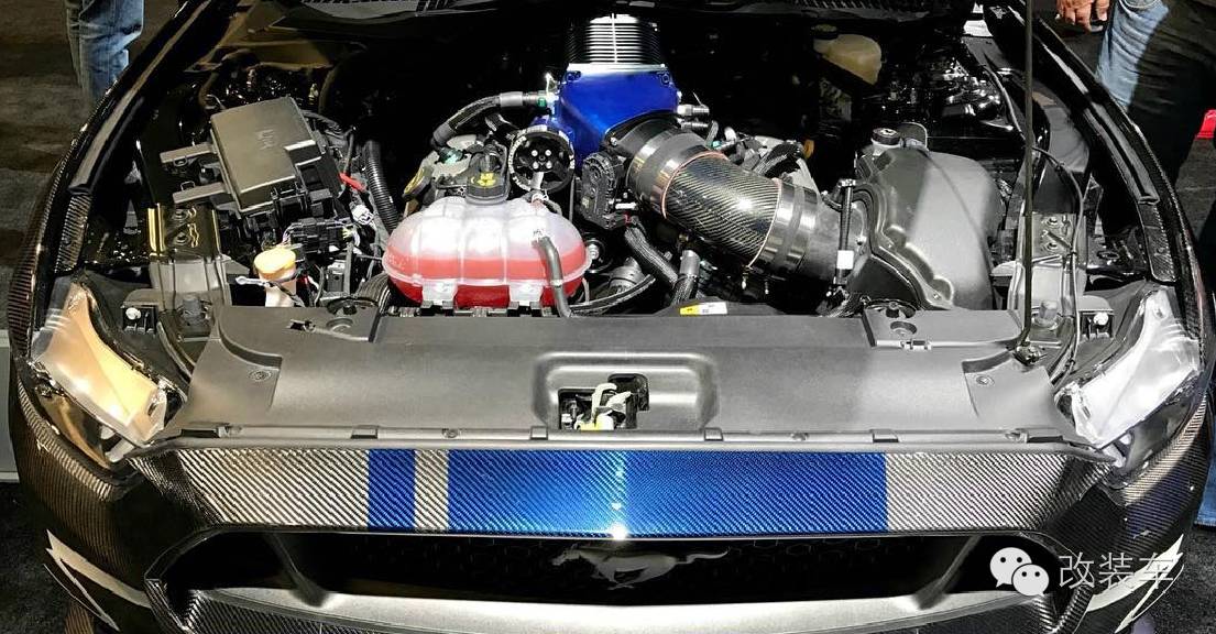 全碳野马 改装费用能买20多辆原厂车