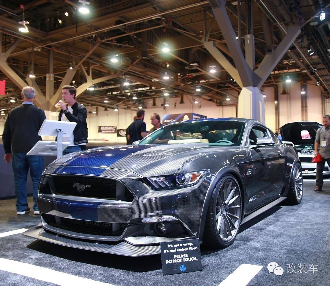 全碳野马 改装费用能买20多辆原厂车