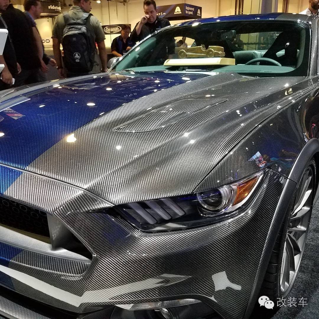 全碳野马 改装费用能买20多辆原厂车