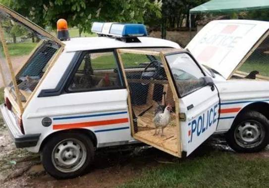 汽车除了用来开，还能干这些事情！