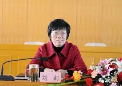 日前,安徽省委完成换届,新一届领导班子名单中,安徽省副省长刘莉当选