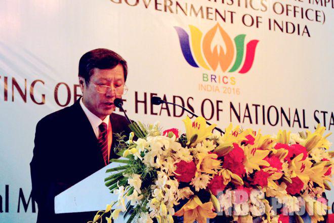 许宪春出席第八届金砖国家统计局局长会议(图