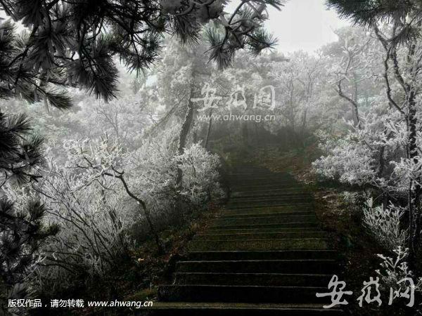 太原痔疮微创手术多少钱_华泰诊院