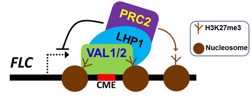 院机关派驻机构分院院属机构期刊电子杂志上海