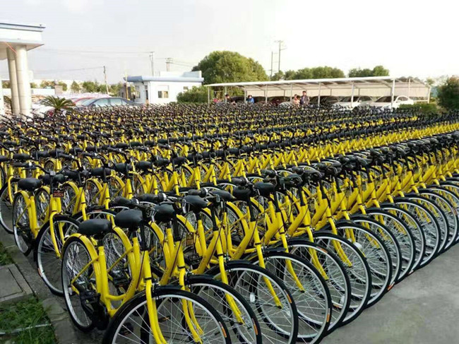 ofo投资人:与摩拜谁主沉浮 三个月后见分晓