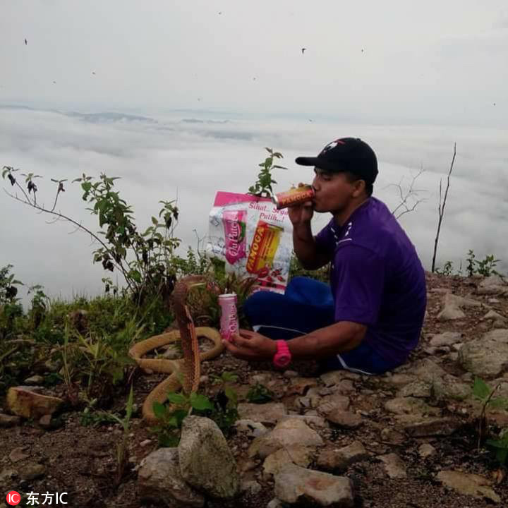 男子坚称女友转世成蛇 与其同吃同住(图)|泰国