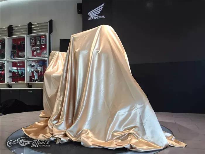 行者无疆 本田发布2016非洲双缸