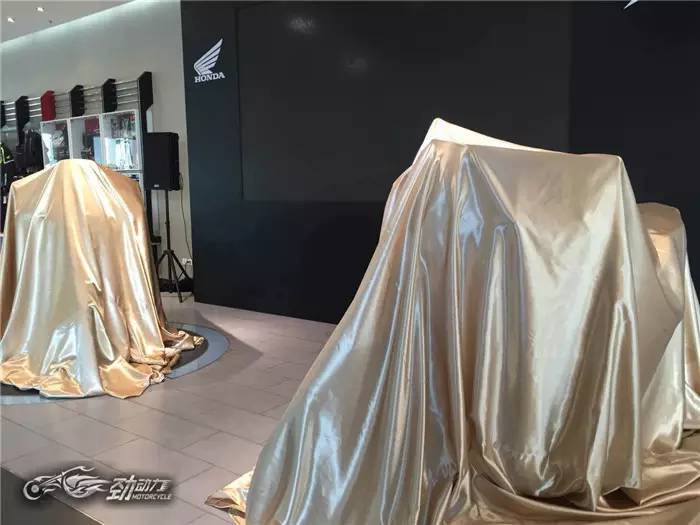 行者无疆 本田发布2016非洲双缸