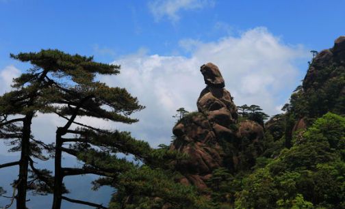 三清山与景域签署门票独代协议