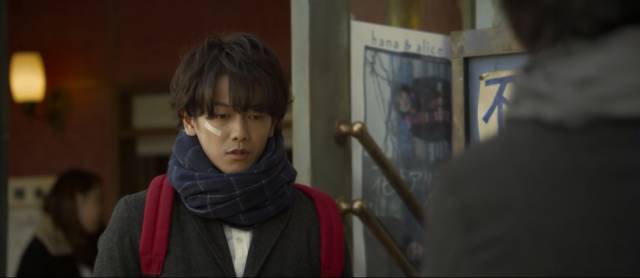 没有电话、电影和猫…|假如猫从世界上消失了