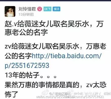 原来赵薇才是美国大选的幕后总策划！