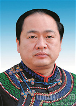 李大勇任凉山州副州长 白云不再担任