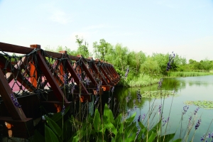 生态春江,常州人的大氧吧