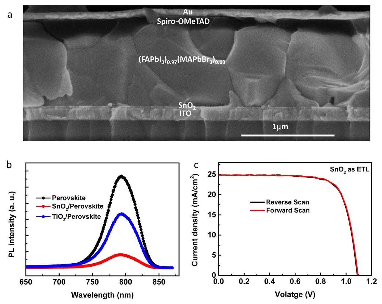 院机关派驻机构分院院属机构期刊电子杂志半导
