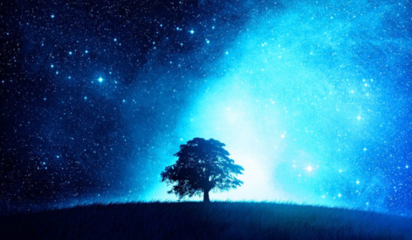 顾潇然:11.22原油,白银日间交易策略投资思路及