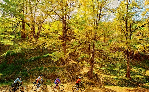 山西肛肠医院最好_华泰诊答