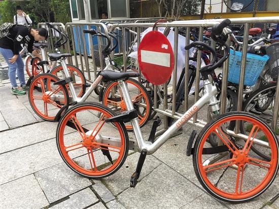 网约单车尴尬:车身贴骗钱二维码 管理靠猎人|广