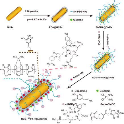 [交大智慧]上海交大生医工团队在肿瘤诊疗一体