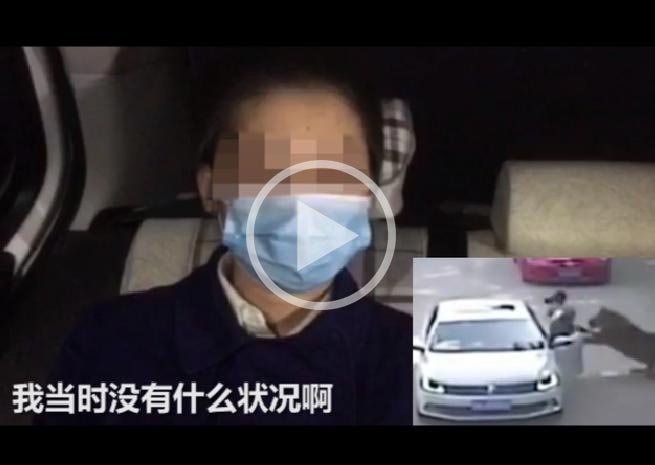 八达岭老虎伤人案原告申请指定管辖!这个要求