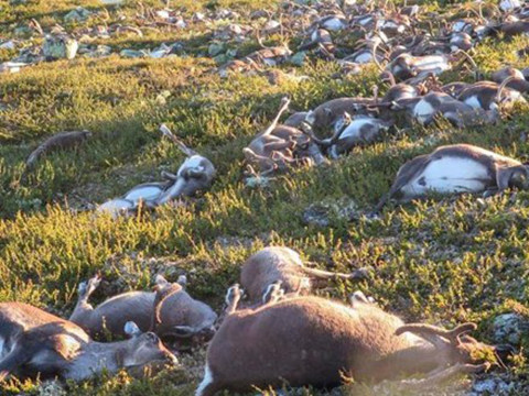 2016年国外十大天气气候评选事件备选事件