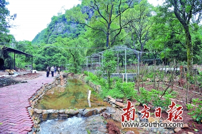 建汤泉修民宿 打造农业观光带|村民|旅游|农业