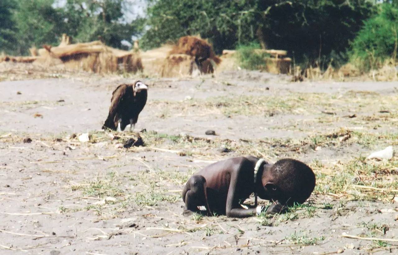 「饥饿的孩子和秃鹫 starving child and vulture」by kevin carter