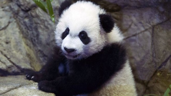 太原外痔手术多少钱_华泰诊答