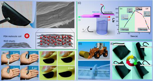 派驻机构分院院属机构期刊电子杂志宁波材料所