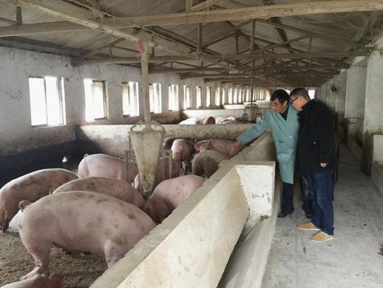 江苏海安县审计局力促农业综合开发项目资金落