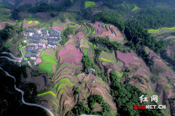 太原痔疮一次手术多少钱_华泰推荐