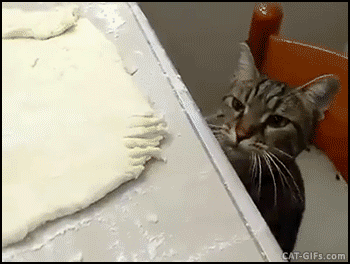 下一站，我猜是奶子房站！毕竟上周刚经过那里，熟得很。