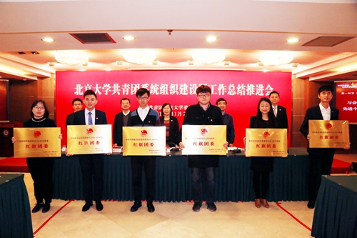 北京大学召开共青团系统组织建设暨工作总结推