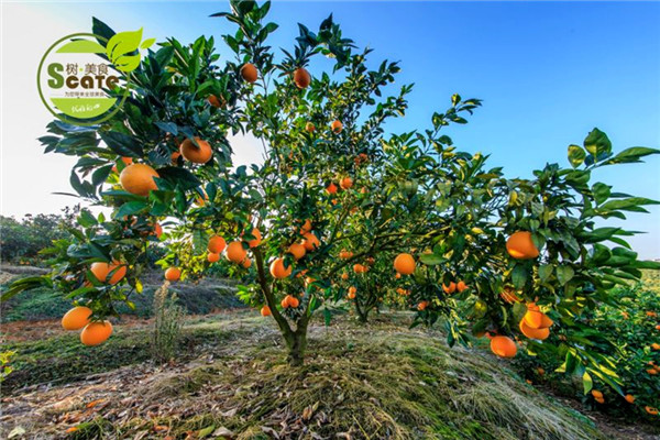 运城哪有微创治痔疮多少钱_华优诊答