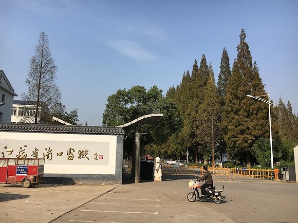 泗洪有多少人口_泗洪人 第六届泗洪 陈圩桃花节活动报名入口在这里(2)