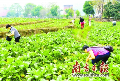 青岛治疗疥疮结节的医院