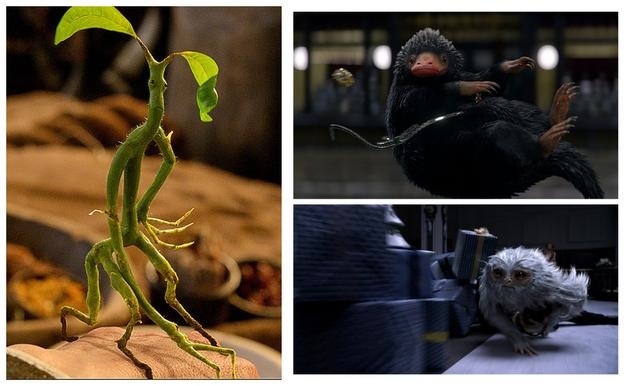 《神奇的动物在哪里》热映,揭秘特效都是咋做