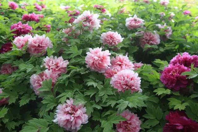 悦读 | 一座城市一首诗,你的城市是哪首