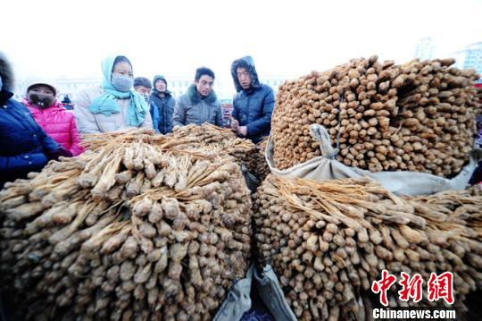  资料图：甘肃岷县中国当归城内中药材交易场景。杨艳敏 摄