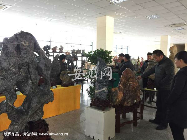 宣城奇石博览会吸引“石友”参观(图)