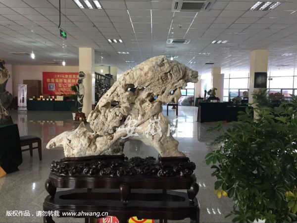 宣城奇石博览会吸引“石友”参观(图)