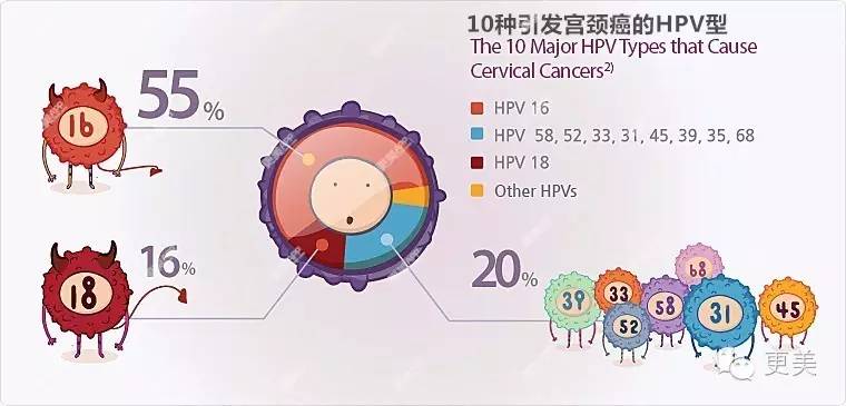 ps:hpv病毒是个大家族,其家族成员多达上百个,能杀死他们的疫苗也分